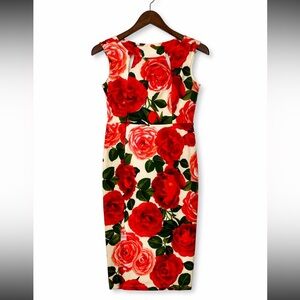 Enfocus Studio Floral Red and White Sleeveless Dress Size 6